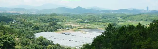 田园邦招募农耕园艺老师、生态建造项目助理各一名 田园邦招募农耕园艺老师、生态建造项目助理各一名