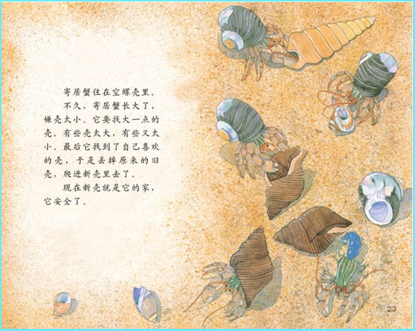 科学启蒙儿童的自然教育----《谁住在壳里》