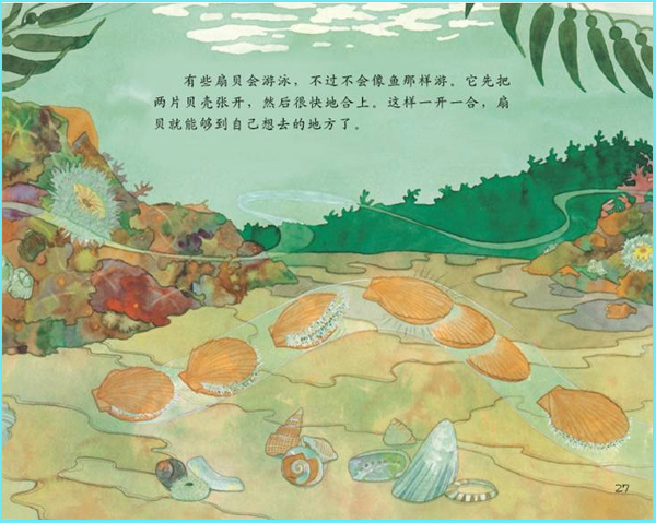 科学启蒙儿童的自然教育----《谁住在壳里》