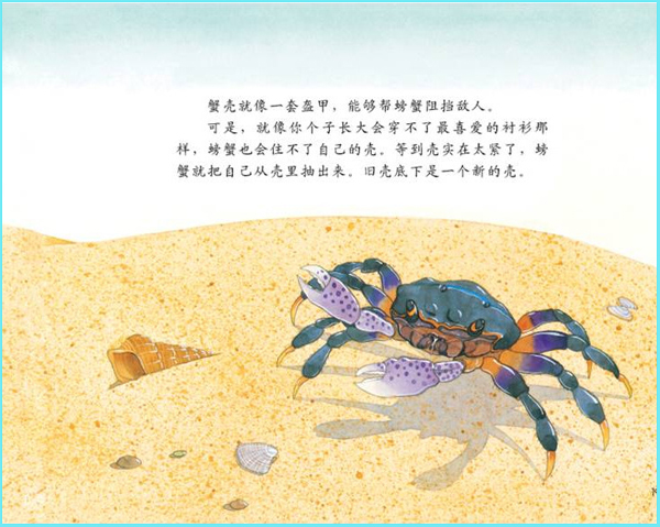 科学启蒙儿童的自然教育----《谁住在壳里》