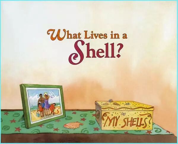 科学启蒙儿童的自然教育----《谁住在壳里》