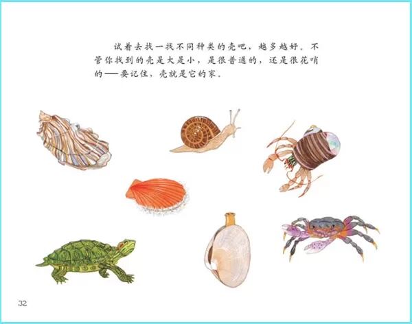科学启蒙儿童的自然教育----《谁住在壳里》