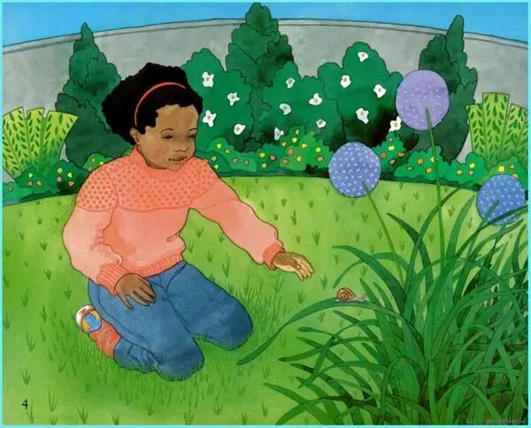 科学启蒙儿童的自然教育----《谁住在壳里》