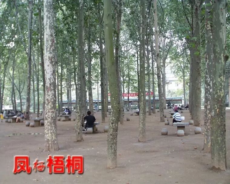 山大校训是什么意思_山大校训养浩然正气_山大校训