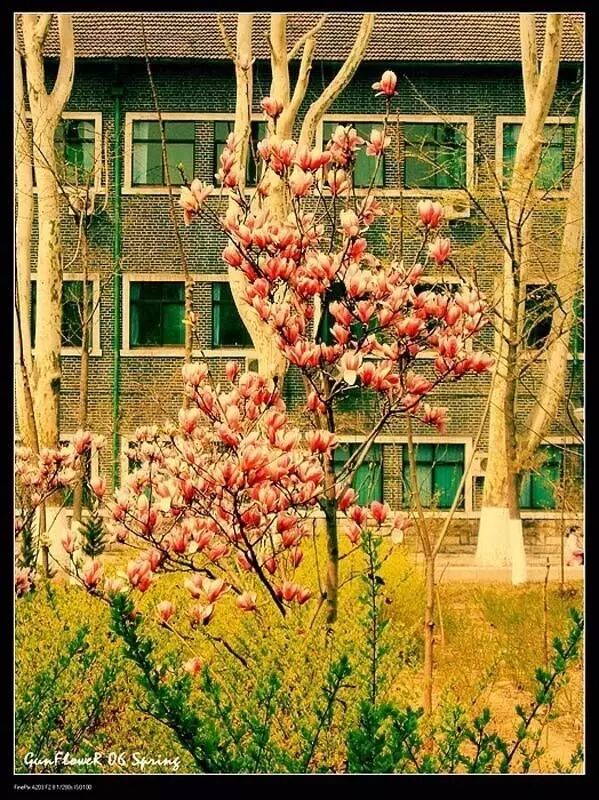 山大校训是什么意思_山大校训养浩然正气_山大校训