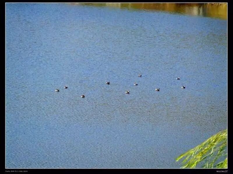 山大校训养浩然正气_山大校训是什么意思_山大校训