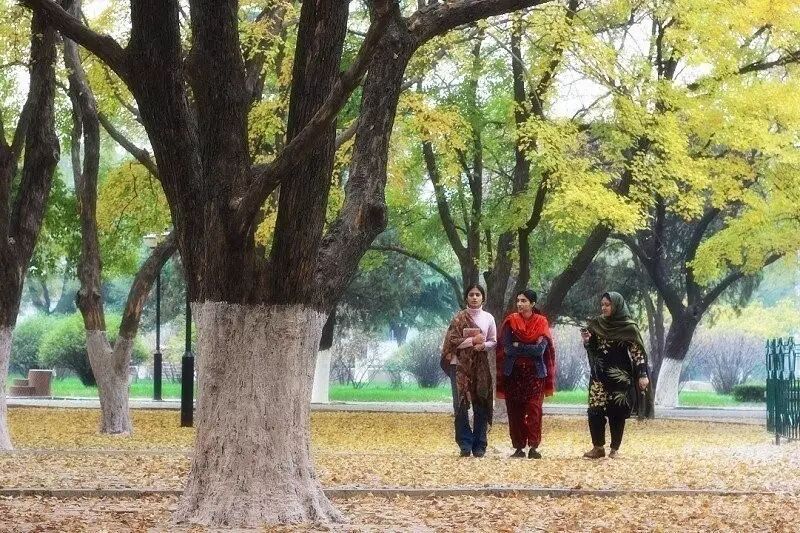 山大校训养浩然正气_山大校训是什么意思_山大校训