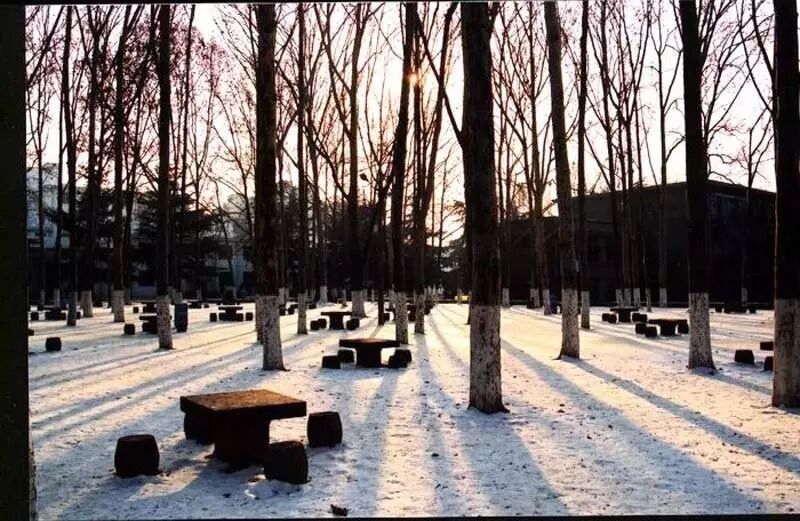 山大校训是什么意思_山大校训_山大校训养浩然正气