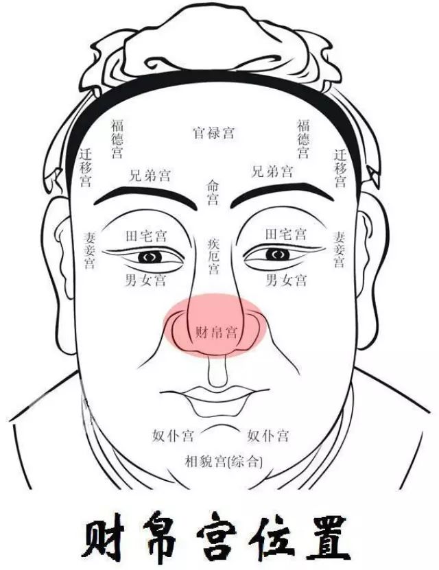 宽脸的人通常更富有商业头脑,挣钱能力更强。可能因为宽脸的人给人的感觉更为宽厚老实,容易赢得信任。容易发财者的面相特征如下: 1、高额头,饱满丰隆 额头看财智。额头高大饱满的人,聪明机智,或学业出众,或少年有成,少年时期就有好运气。如果再加上鼻子生得好,高挺而丰厚,气势贯通额头和鼻子,往往就是少年得志之相,财运也会丰隆亨通。