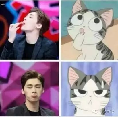 李易峰喵图大全,峰峰真的是既呆萌又可爱
