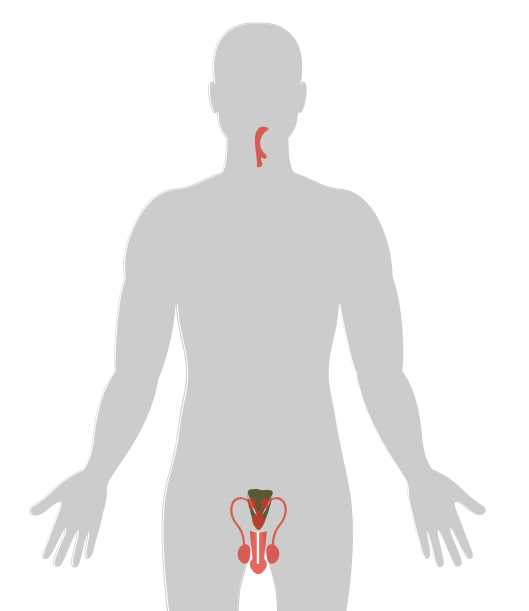 20张癌症人体地图，告诉你致癌真相