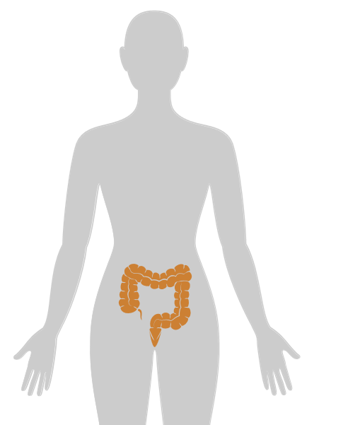 20张癌症人体地图，告诉你致癌真相