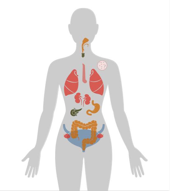 20张癌症人体地图，告诉你致癌真相