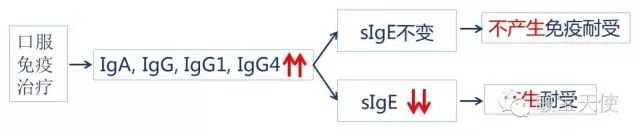 食物过敏原sIgE与sIgG检测的意义