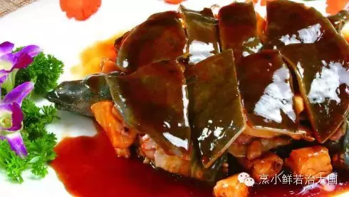 红烧鮰鱼(下) 红烧鮰鱼(下)