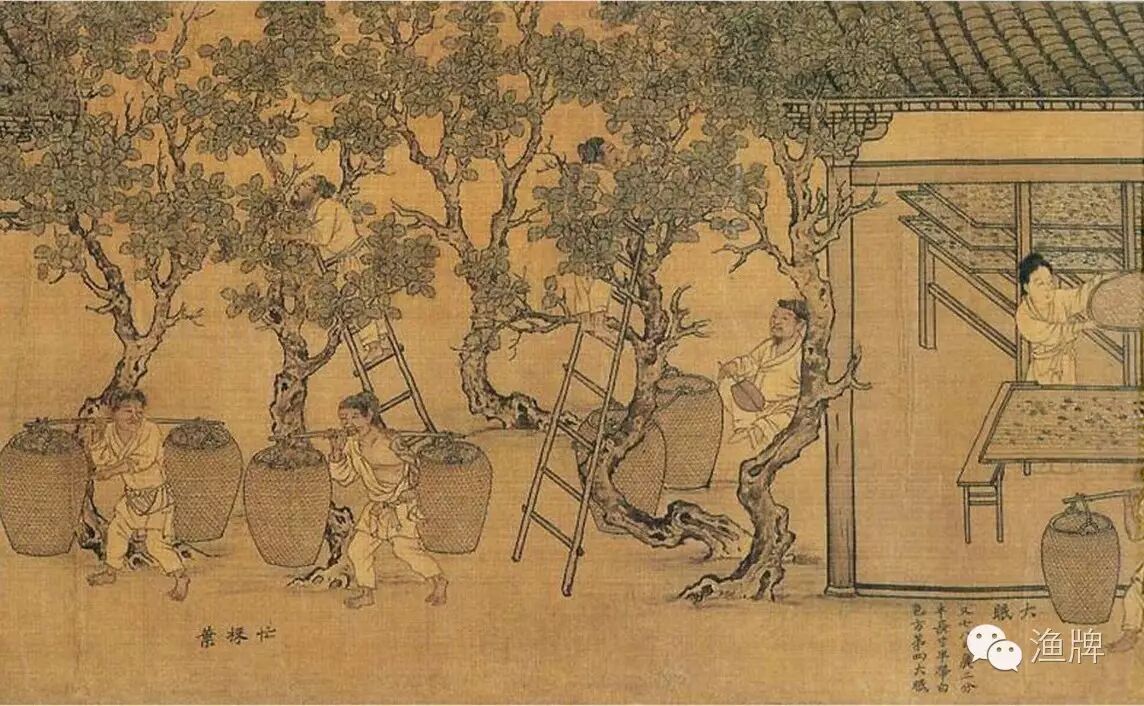 桑蚕文化 · 五千年的丝绸记忆