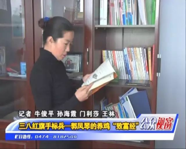 致富养鸡视频_致富经养鸡_致富养鸡散养鸡技术