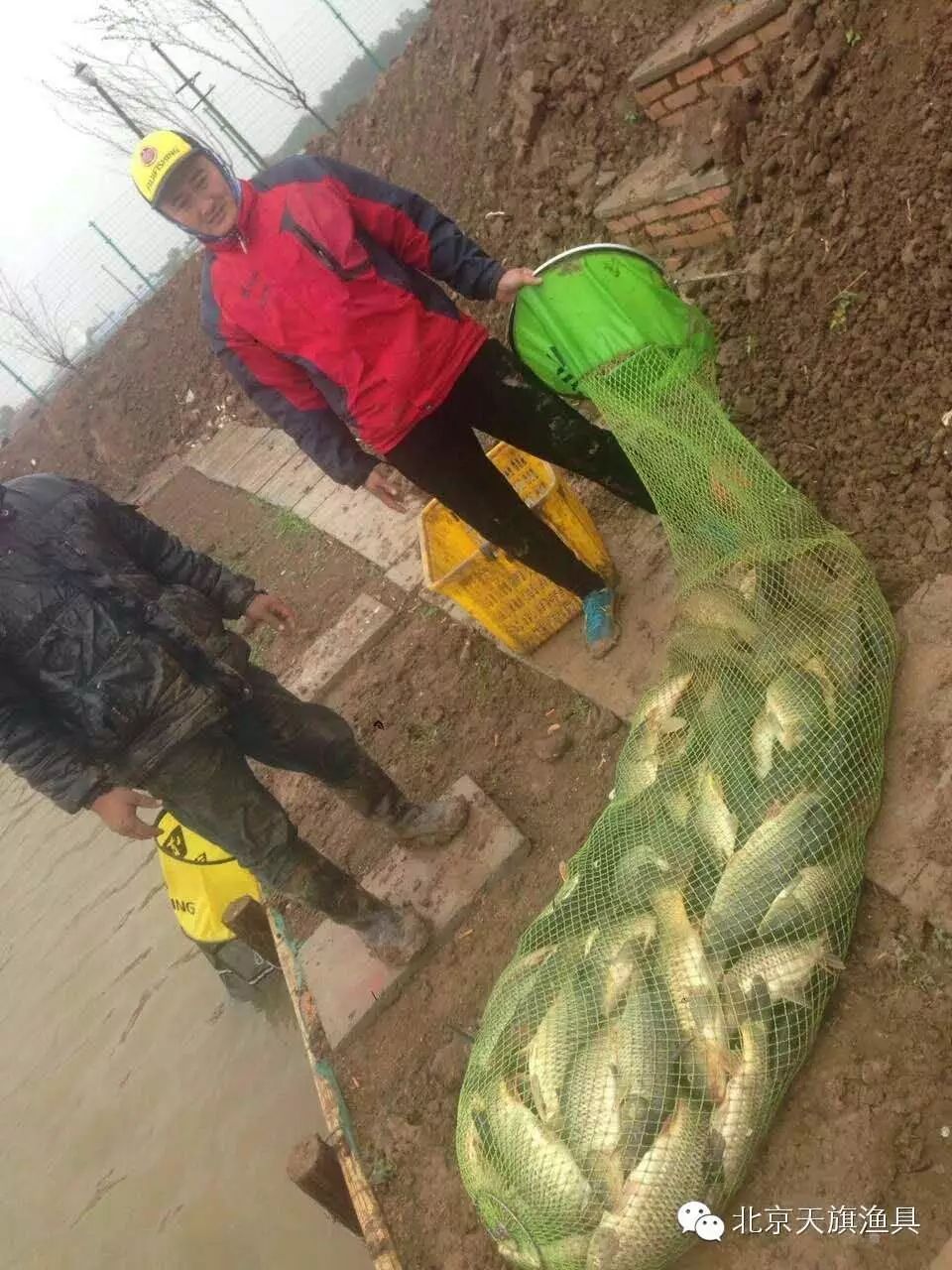 天旗粉丝张超雨中奋战,钓获258斤鲤鱼获得亚军