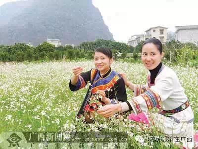 恭城通高铁了，我们一起去旅游吧！721 / 作者:欧耶 / 帖子ID:107631