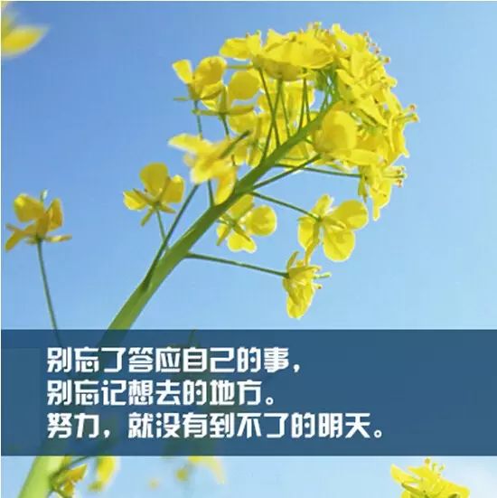 人努力像一只储蓄罐,你投入的每一分生就,都在未来的某一天,回馈于二初中加三图片