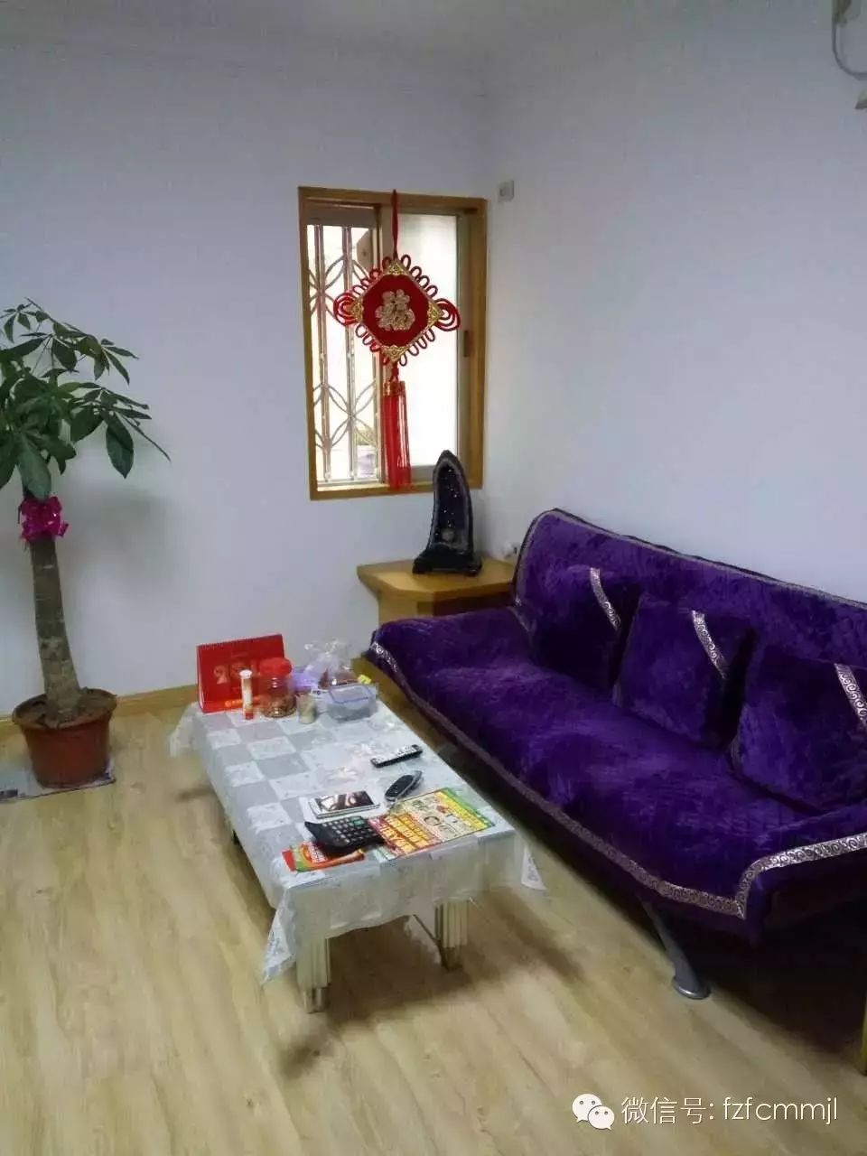 ��ÿ��һ����������Ƭ��ȪСʮ���� ϡ��01�꡶����С�����������ܼ۾�װ�� ѧ����