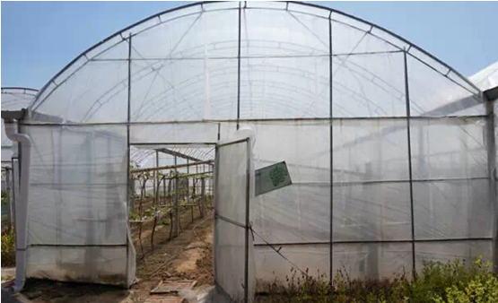 周末去哪儿？上船 有大座儿！