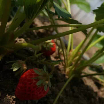 周末去哪儿？上船 有大座儿！