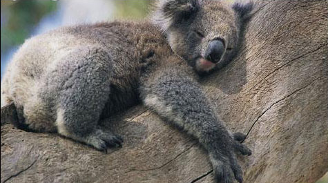 周末去哪儿？上船 有大座儿！