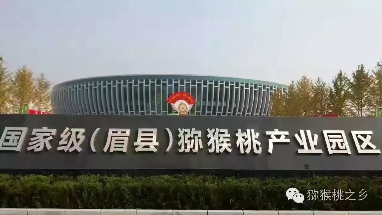 猕猴桃预定了!眉县百果园农产品专业合作社挂牌成立,8