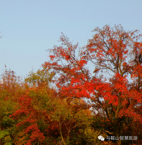 【周末去哪儿 <wbr>】逛博望百年老街,品薛津正宗馄饨 【周末去哪儿 <wbr>】逛博望百年老街,品薛津正宗馄饨