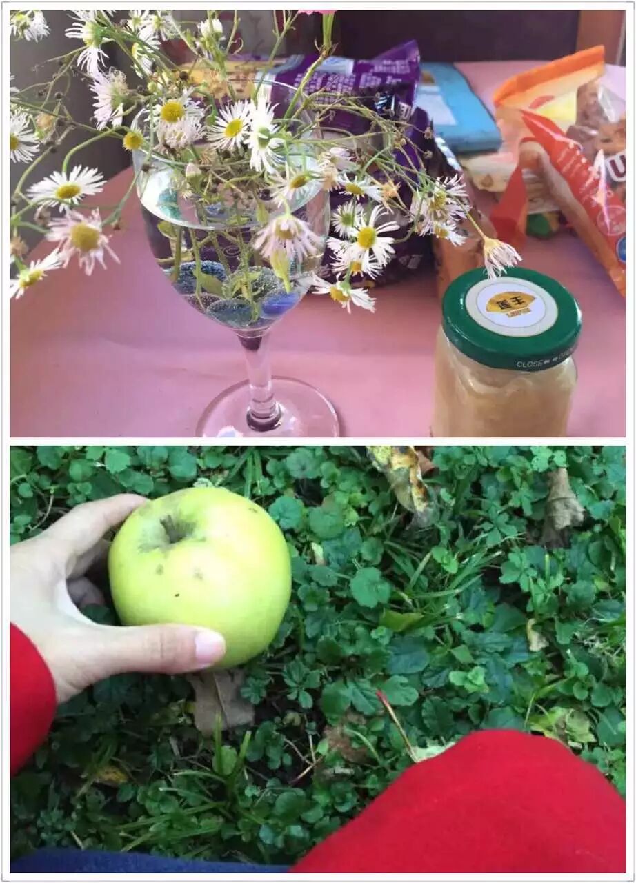 11月德国海灵格训练营暨90寿诞回顾