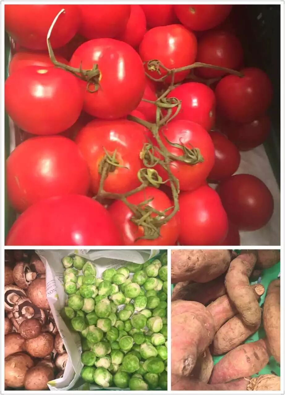 11月德国海灵格训练营暨90寿诞回顾