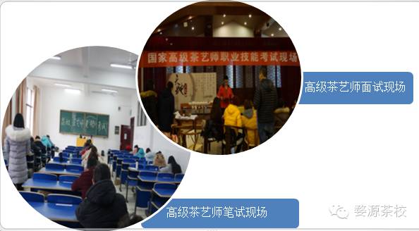 涉茶专业职业资格技能考试圆满落幕