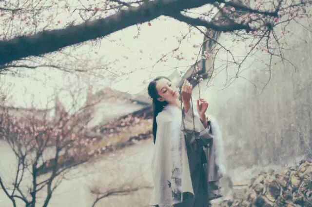 一梦花溪,花落又冬季