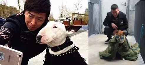 孙红雷&黄渤:万万没想到栽在一条狗手里······