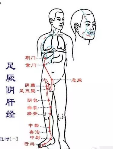 每天刮肝经,无病一身轻182 / 作者:健康小天使 / 帖子ID:167980