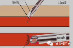 人物经验心得_心得人物经验分享范文_人物心得体会怎么写