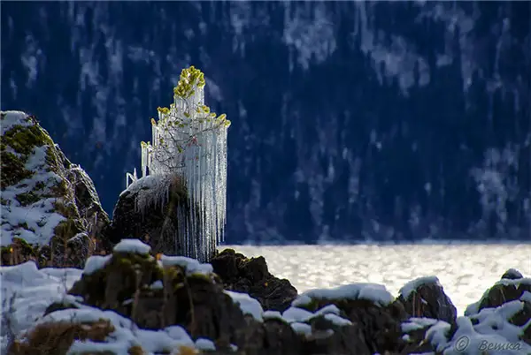 美哭了，这TM才叫冰雪奇缘！