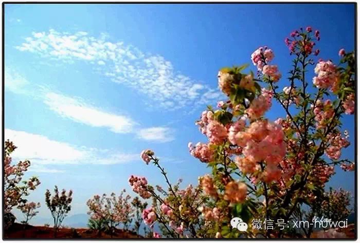 http://mmbiz.qpic.cn/mmbiz/aXFqLCZpo0QKMLJBsicPsjwU5vySeibXKiaDCyC1SLIB3aTLNZkrDibSYwxcJygon9ajs7d95wkFsD1RYQ8rwQLFTg/0