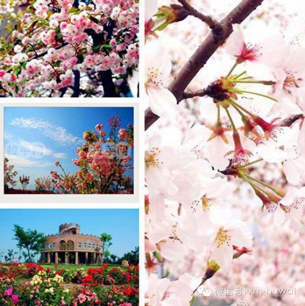 http://mmbiz.qpic.cn/mmbiz/aXFqLCZpo0QKMLJBsicPsjwU5vySeibXKiahHKE2TP9yBZOUAhF6licjTPyvecG8mqCs8gYcQzkoVgANRwAyaQeYcA/0
