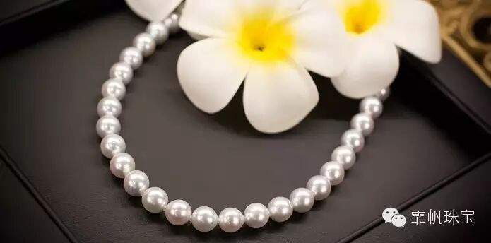 没见过"真多麻"还好意思自称珍珠控？