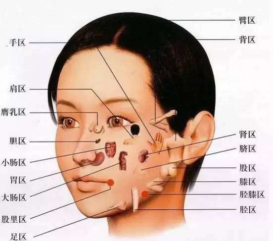 脸蛋脏是五脏疾病外在表现酵素与脸蛋内脏有什么联系