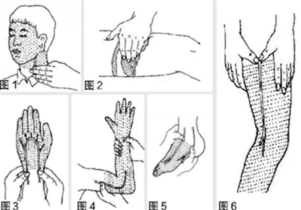 动脉什么压迫止血外伤出血，按哪里止血最有效？_https://www.jmylbn.com_新闻资讯_第6张