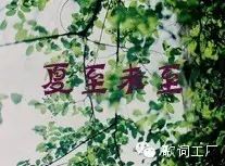 读过郭敬明的《夏至未至》,听过郭赛伟的《夏至未至》...