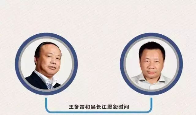 王冬雷：称或再也不在国内收购小企业