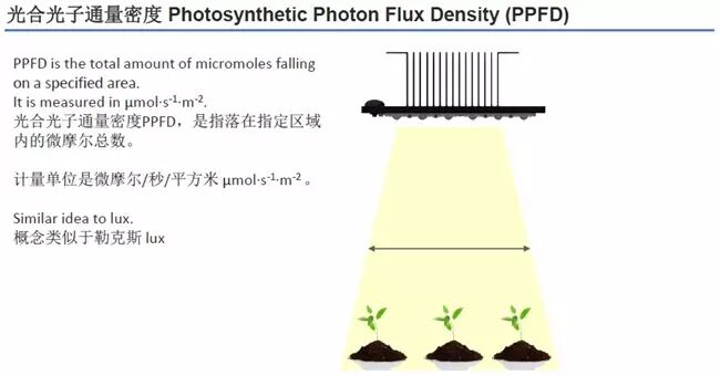 科锐新品：布局植物照明，推出针对植物照明优化产品