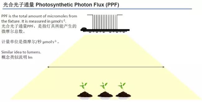 科锐新品：布局植物照明，推出针对植物照明优化产品