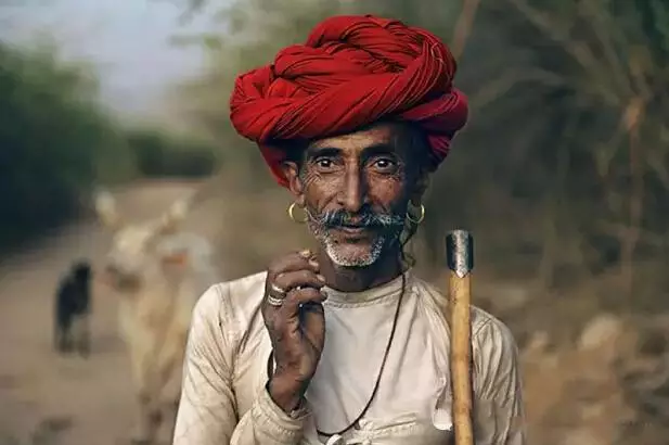 愚蠢的丈夫用一头牛换了一袋烂苹果，回家后老婆竟然还吻了他..... 第1张