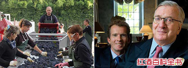 名庄|“美人鱼”酒庄的唯美情怀 名庄|“美人鱼”酒庄的唯美情怀