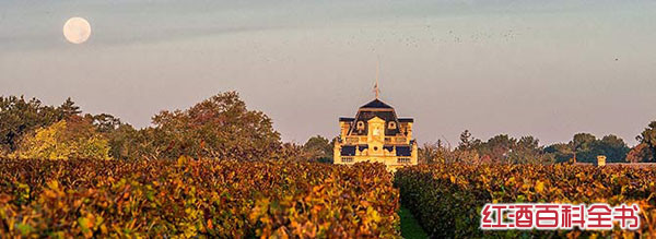 名庄|“美人鱼”酒庄的唯美情怀 名庄|“美人鱼”酒庄的唯美情怀